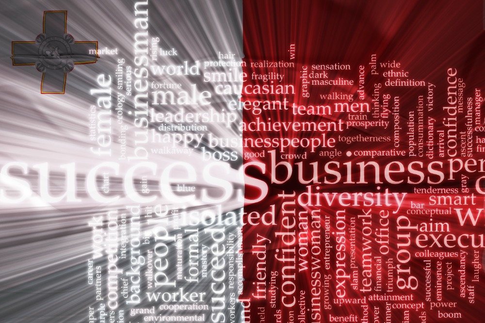 Malta Business Formation Types of Companies